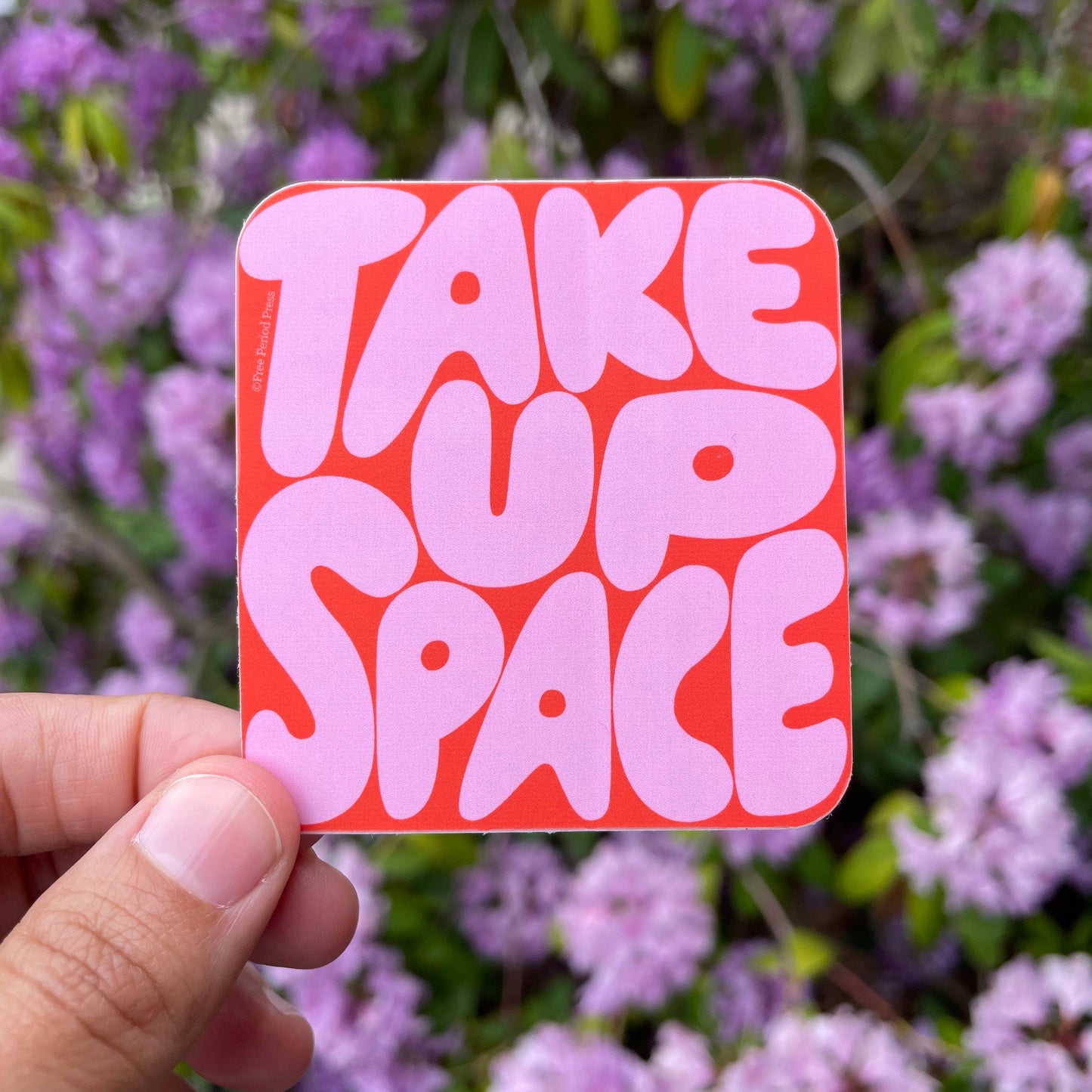 Take Up Space Vinyl Decal Sticker